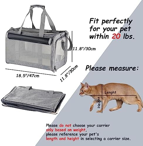 Large cat Carrier Pet Carrier Dog Carrier