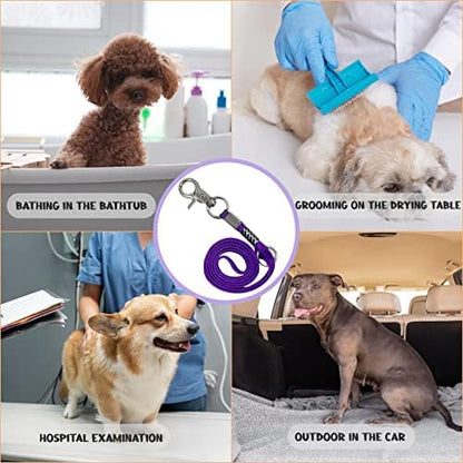Pet Grooming Loop for Dogs