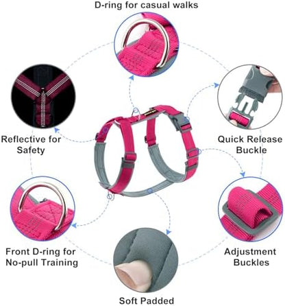 Plutus Pet No Pull Dog Harness, Adjustable Nylon Harness