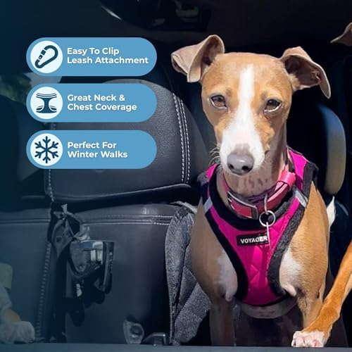 Best Pet Supplies