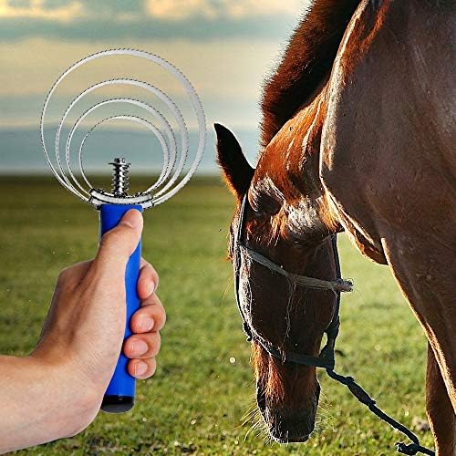 BOTH WINNERS Reversible Stainless Steel Curry Comb