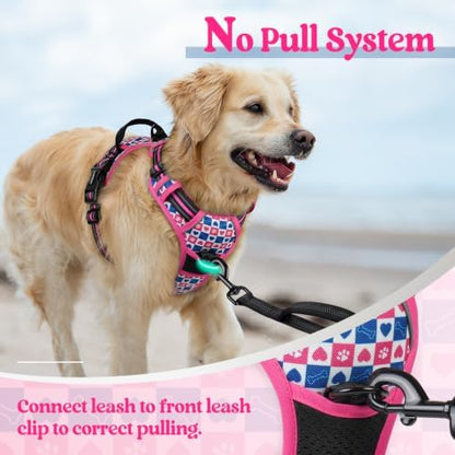 rabbitgoo Dog Harness, No Pull for Large Dogs