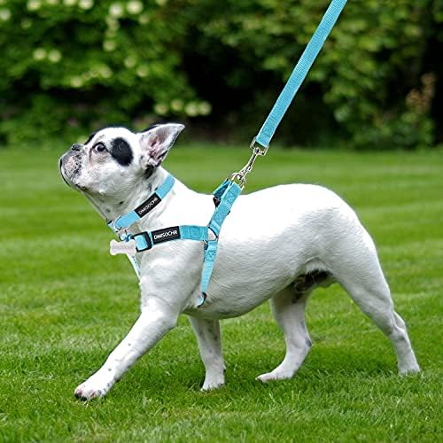 No Pull Dog Harness, Leash & Collar Set, Adjustable Step-in Vest