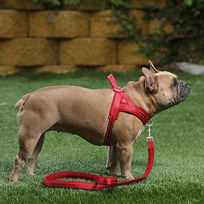 Plutus Pet No Pull Dog Harness for Medium Sized Dog, Breathable Mesh Padded