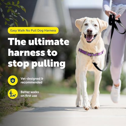 PetSafe Easy Walk Harness, No Pull Dog Harness, Deep Purple
