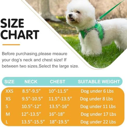 Dog Harness and Leash Set, No Pull Pet Harness