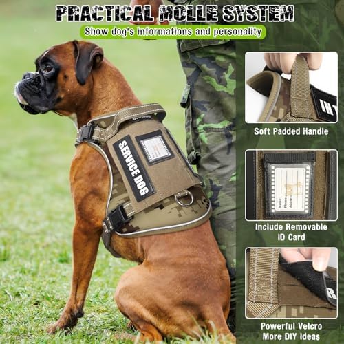 Tactical Dog Harness and Leash Set