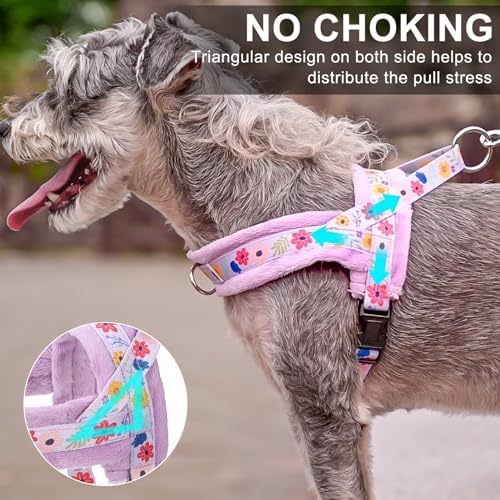BEAUTYZOO No Pull Small Dog Harness and Leash Set, Soft Puppy Vest Harness