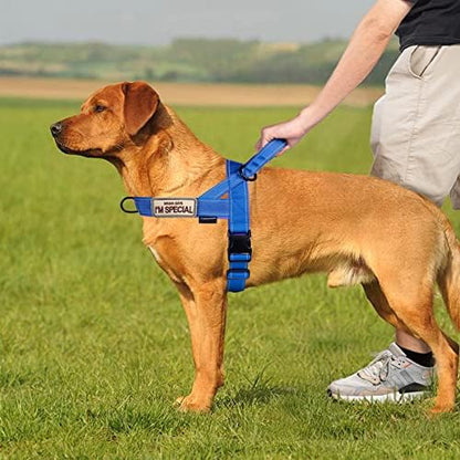 Annchwool No Pull Dog Harness