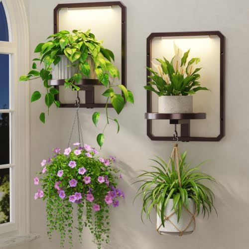 LASZOLA Plant Picture Frame Holder Shelf Wall