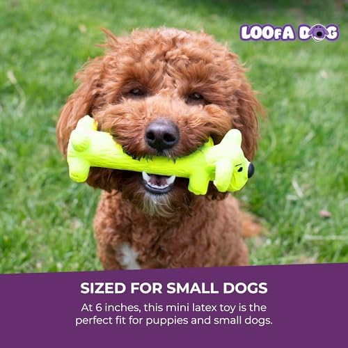 Multipet Original Loofa Latex Dog Toy