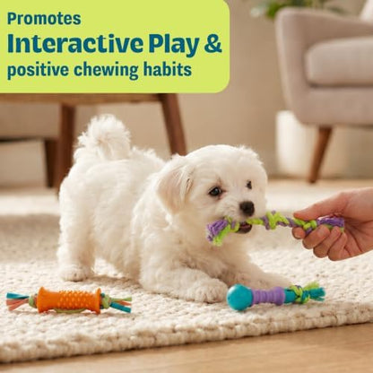 Dental Chew Pack Mini Dog Chew Toys