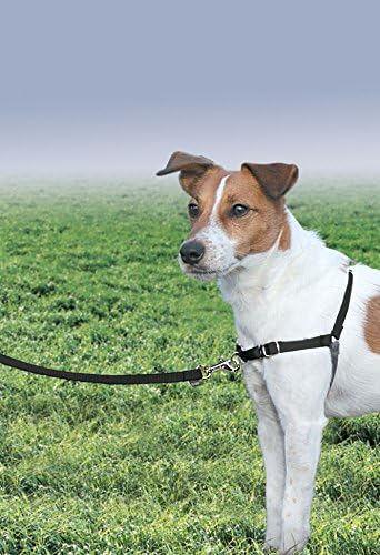 PetSafe Easy Walk Harness, No Pull Dog Harness