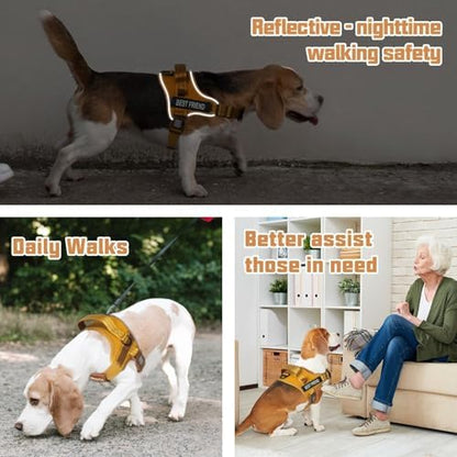 AUROTH Dog Harness and Leash Set
