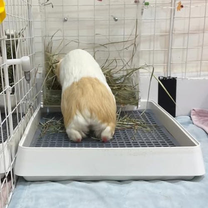 PODOO Rabbit Litter Box – Training Potty Tray