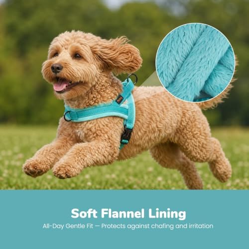 Didog No Pull Dog Harness for Small Dogs, Soft Flannel Padded
