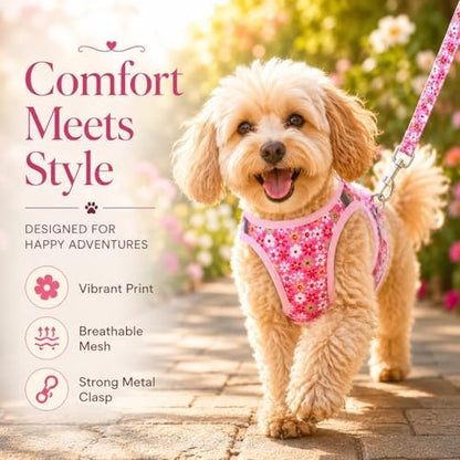 Step in Dog Harness Leash Set- All Weather Reflective No-Pull Floral Pattern