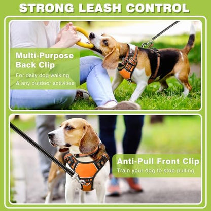 WINSEE Dog Harness No Pull, Pet Harnesses