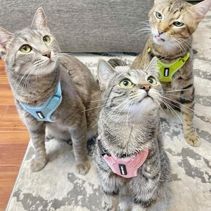 Voyager Step-in Lock Cat Harness & Leash Set