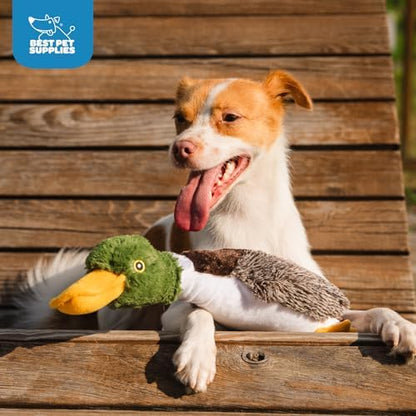Best Pet Supplies Interactive Squeaky Dog Chew Toy, Ideal Dog Toys