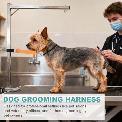 2Pcs Dog Grooming Loop, Adjustable
