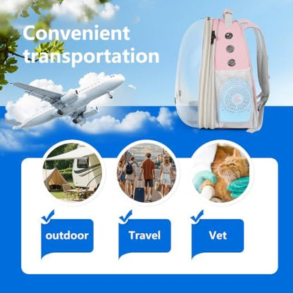 Large Cat Backpack Carrier