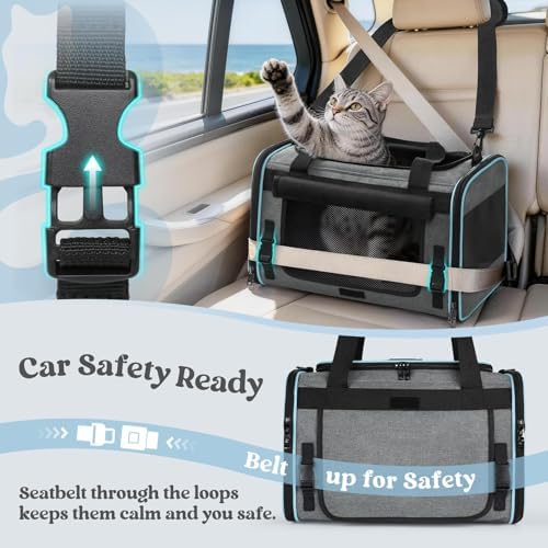 rabbitgoo Cat Carrier Soft