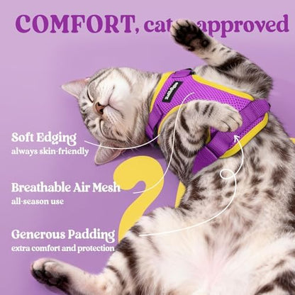 rabbitgoo Cat Harness and Leash Set, Escape Proof Vest