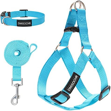 No Pull Dog Harness, Leash & Collar Set, Adjustable Step-in Vest