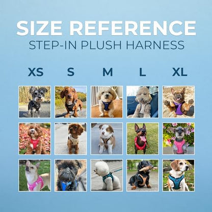 Best Pet Supplies