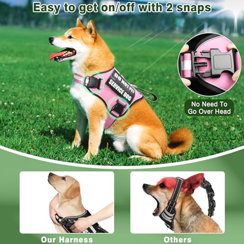 Service Dog Vest Harness and Leash Set+10 Patches, No Pull&Easy Walk Reflective