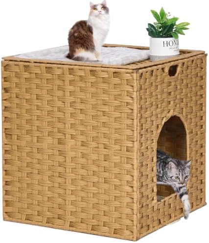 Cat Litter Box Enclosure, Hidden Litter Box Furniture
