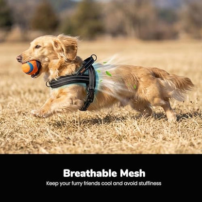 Didog No Pull Dog Harness for Small Dogs, Breathable Mesh Padded