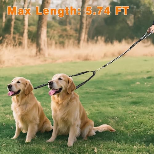 Double Dog Leash – Tangle-Free Dual Leash