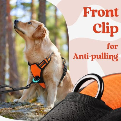 rabbitgoo Dog Harness for Large, Updated Easy On & Off