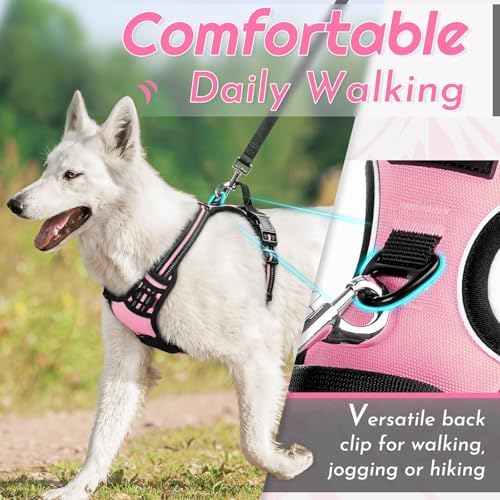 Eagloo Dog Harness for Small Dogs, No Pull Pet Vest
