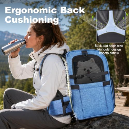 Pet Carrier Backpack with Elevated Booster Pad
