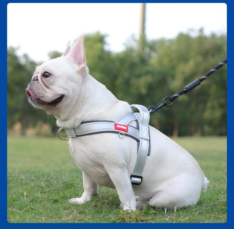 Dog Harness, No Pull Dog Harness, Adjustable Soft Harness