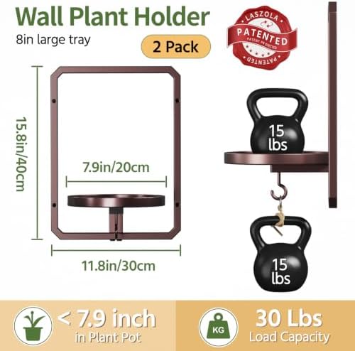 LASZOLA Plant Picture Frame Holder Shelf Wall