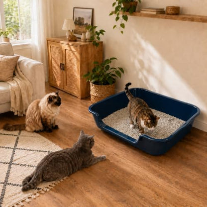 Extra Large Low Entry ABS Cat Litter Box, 1 Pack