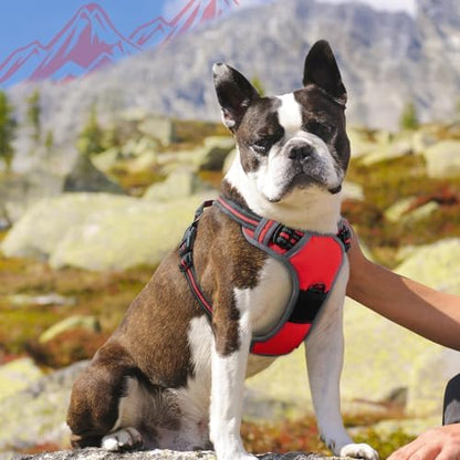 Eagloo Dog Harness for Medium Sized Dogs, No Pull Vest