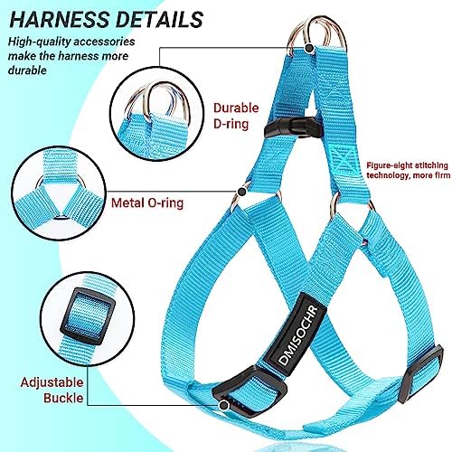 No Pull Dog Harness, Leash & Collar Set, Adjustable Step-in Vest