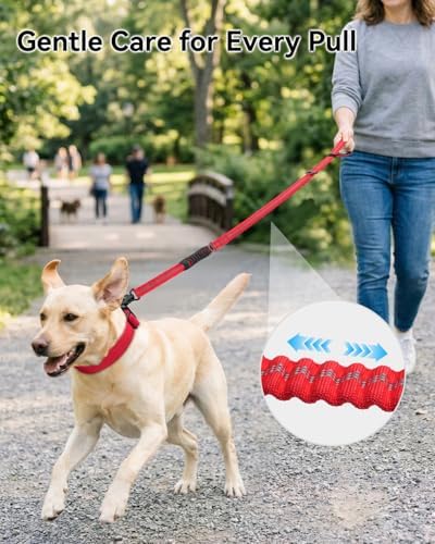 Joytale Tactical Bungee Dog Leash, Shock Absorbing No Pull