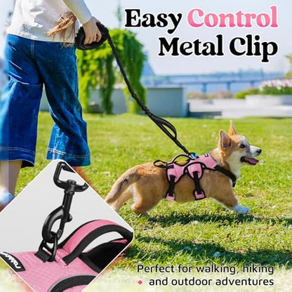 rabbitgoo Escape Proof Dog Harness