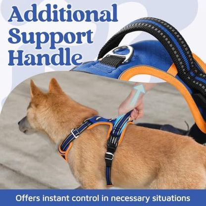 rabbitgoo Dog Harness for Large, No Pull 3 Buckles Easy On & Off