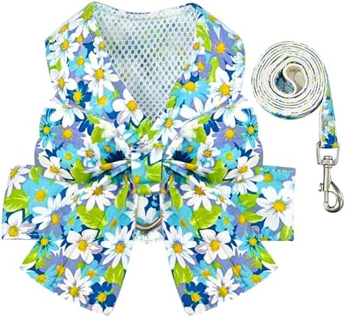 BAEJMJK Dog Harness and Leash Set