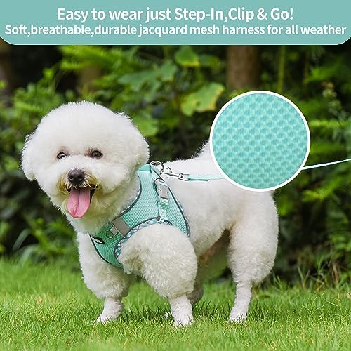 AIITLE Dog Harness and Leash Set