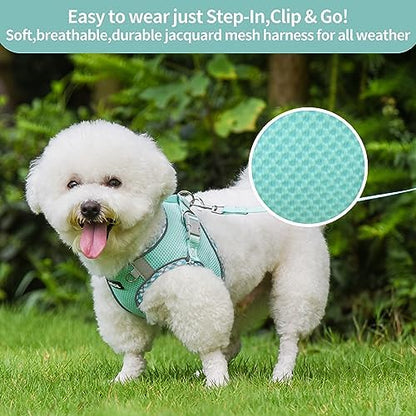 AIITLE Dog Harness and Leash Set