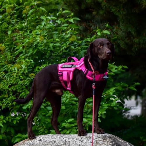 Dog Harness for Large Dogs, No Pull Tactical Vest