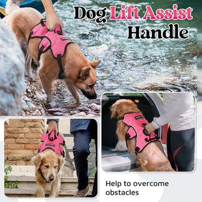 rabbitgoo Escape Proof Dog Harness